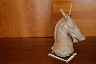 BUSTO CABALLO
