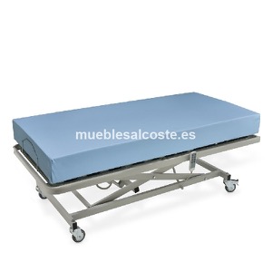 Cama de hospital con carro elevador